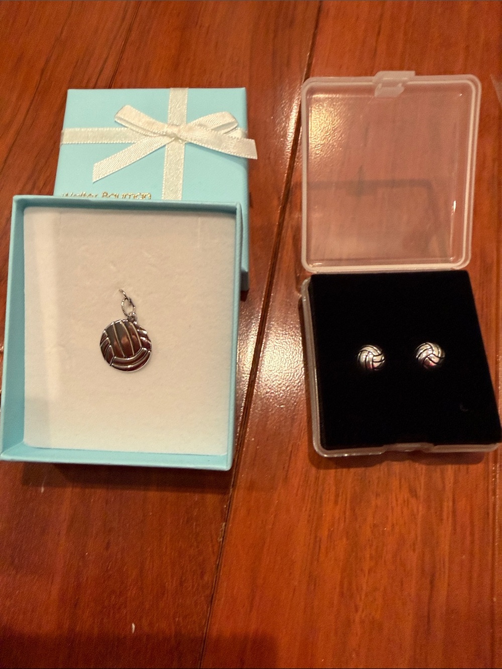 Volleyball Charm and Earrings